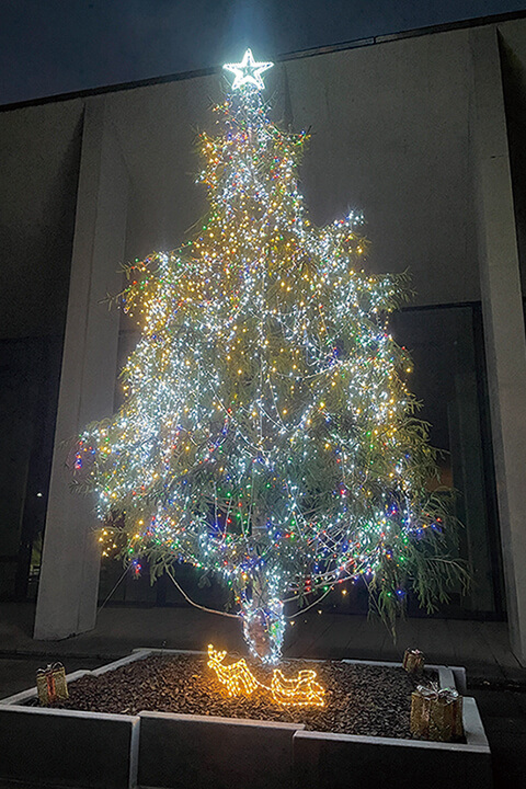 山口県立大学冬のイルミネーションツリー