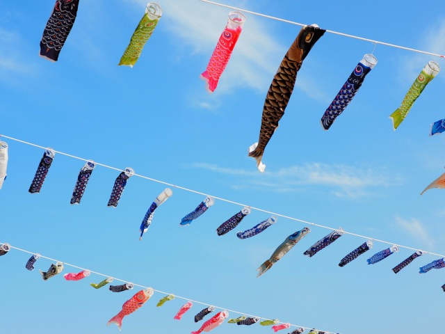 【光市】虹の鯉のぼりプロジェクト