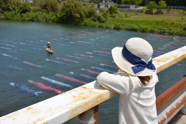 【こいながし会場】中央橋