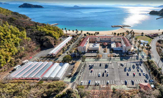 マリッサベリーファーム/周防大島町