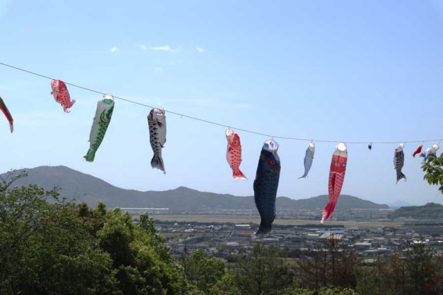 【防府市】二六台こいのぼり