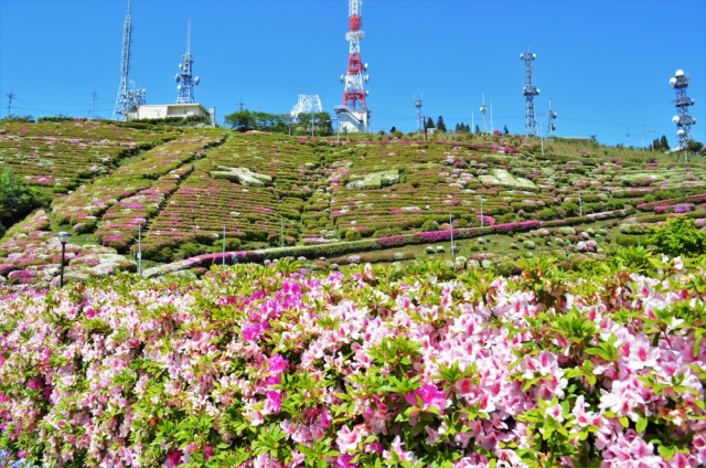 大平山山頂公園