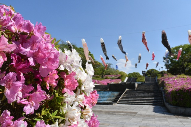 TOSOH　PARK 永源山