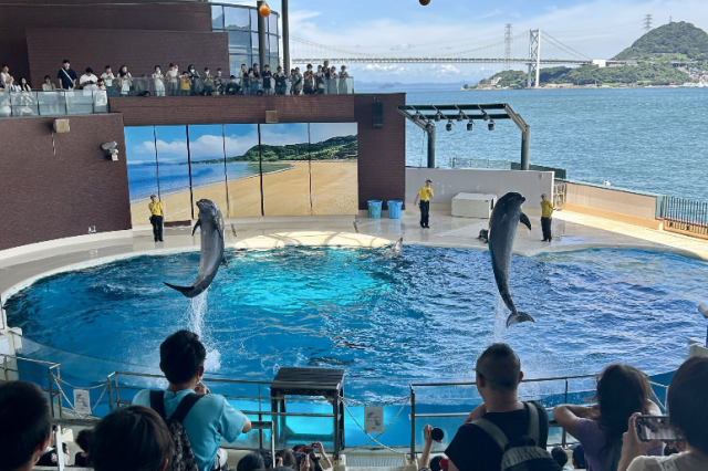 リニューアルした海響館の見どころは？