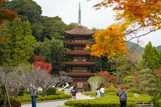 紅葉