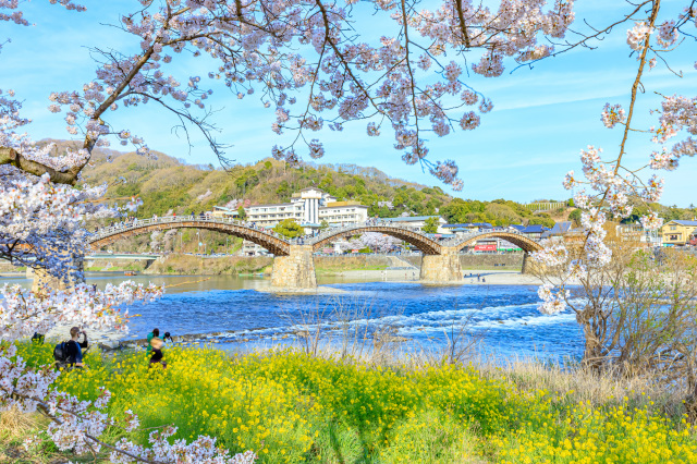 錦帯橋