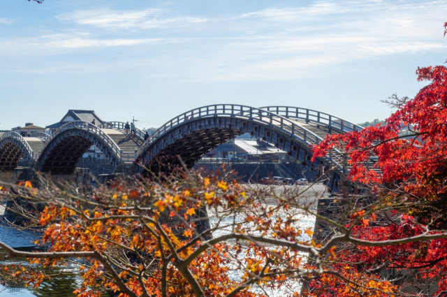 錦帯橋　秋の遊覧船「もみじ舟」