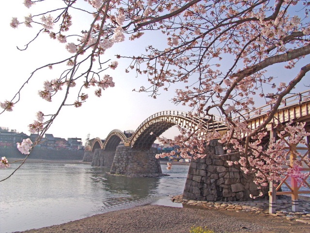 錦帯橋　春