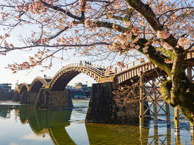 錦帯橋　春