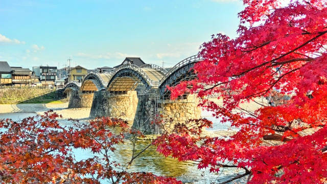 錦帯橋 紅葉
