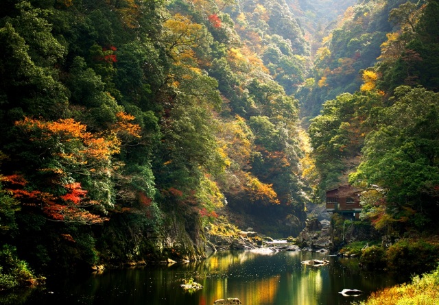 秋の長門峡