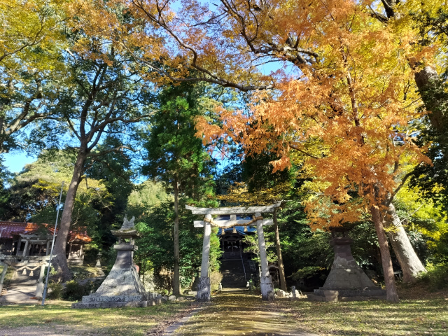 鶴ヶ嶺八幡宮境内