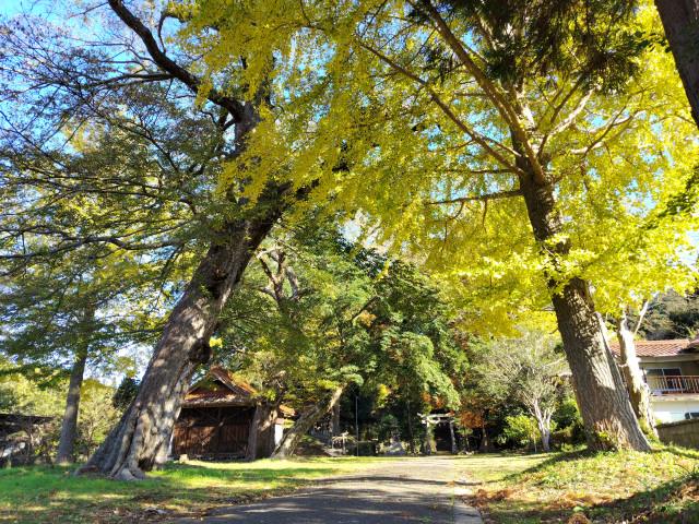 鶴ヶ嶺八幡宮境内