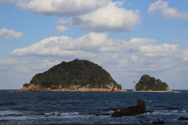 姫島樹林