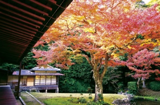 宗隣寺