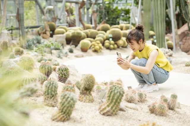 ときわミュージアム（世界を旅する植物館）