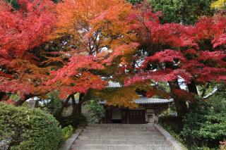 覚苑寺
