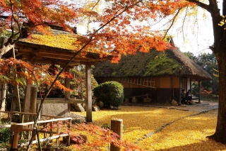 伊藤公資料館（伊藤公記念公園）