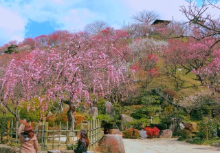 冠山総合公園