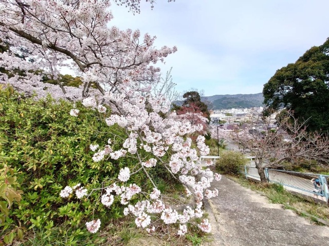 栄山自然観察の森