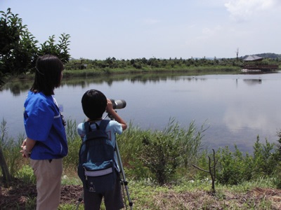 山口県立きらら浜自然観察公園