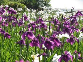 物見山総合公園