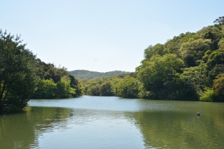 江汐湖