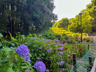 江汐公園