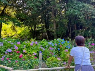 江汐公園