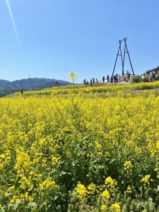 むつみフラワーロード