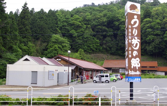 道の駅「うり坊の郷katamata」