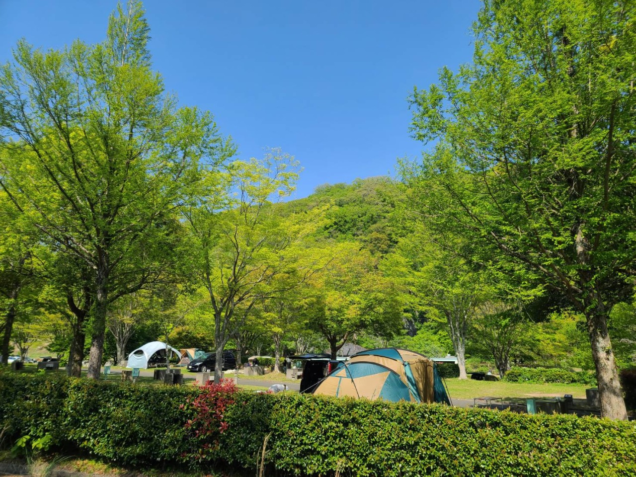 秋吉台オートキャンプ場 観光スポット 公式 山口県観光 旅行サイト おいでませ山口へ