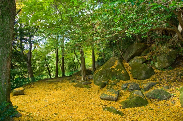 南原寺