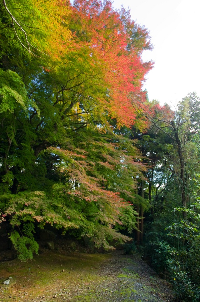 南原寺