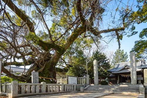 老松神社
