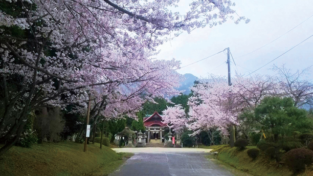 大帯姫八幡宮