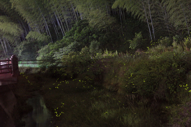 ほたるの里