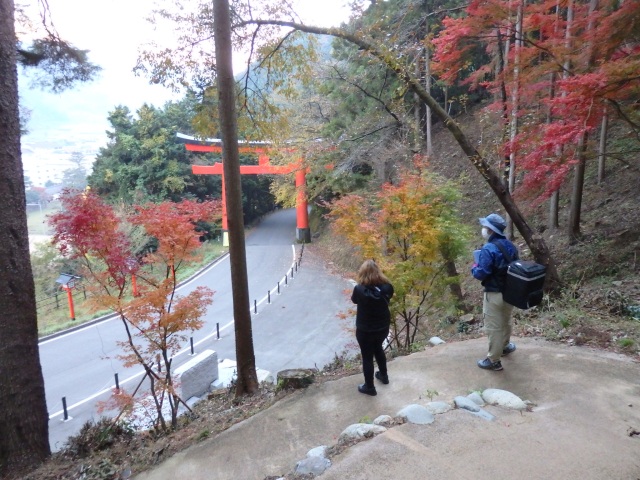 津和野城跡トレッキングコース