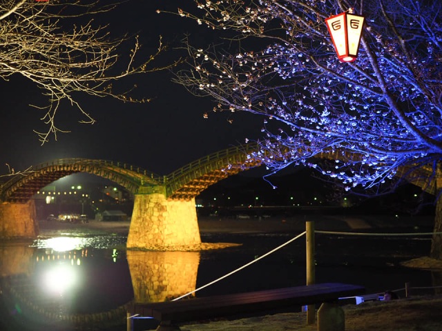 錦帯橋の桜ライトアップ