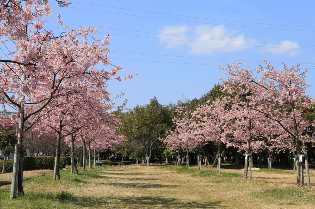 新築地緑地