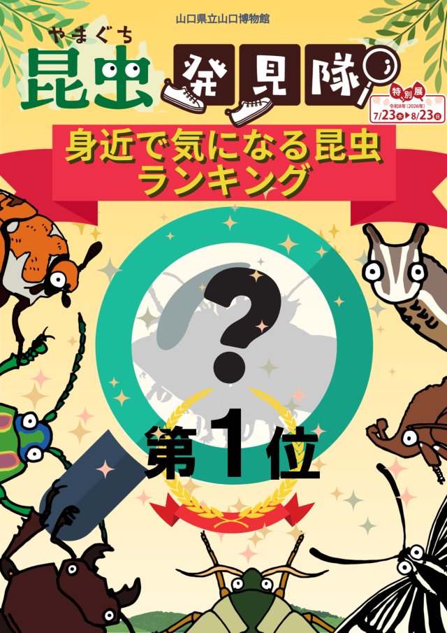 2章 0系新幹線前頭部カバー