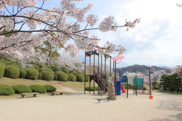 防府天満宮桜