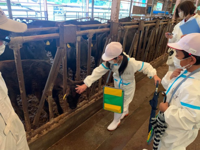 命のつながりや食べ物がどこからやってくるのかなどを知るための、食育としてもぜひご活用ください。