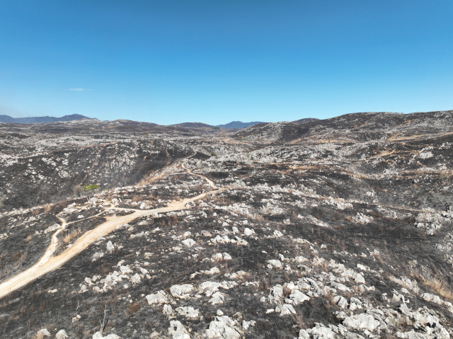 ジオガイドと行く山焼き後のとっておきの秋吉台ウォーキング