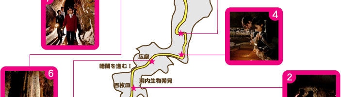 秋芳洞闇のロマン探検