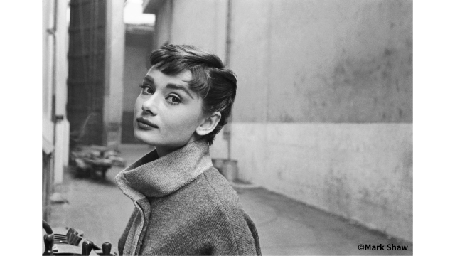 ©Mark Shaw