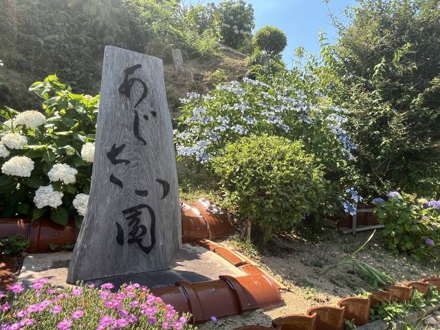 田耕あじさい園