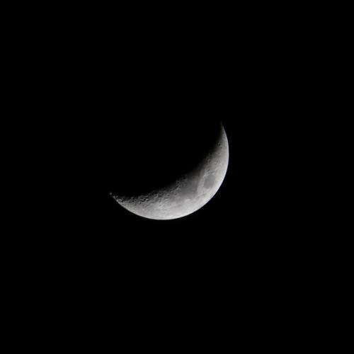 鹿野星空観望会