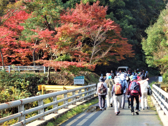 今富ダム湖畔ウォーキング