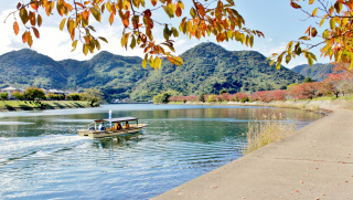 萩八景遊覧船「桜紅葉鑑賞コース」